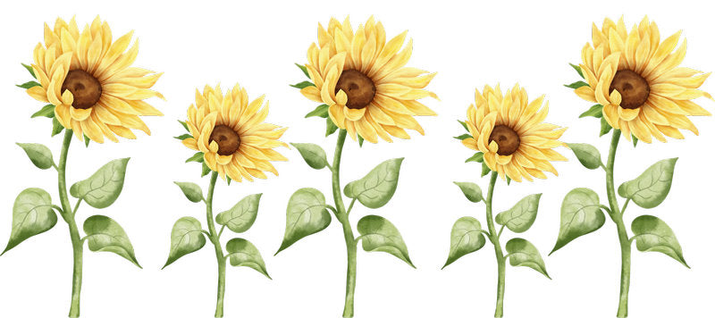 Bright sunflower floral pattern with summer garden style