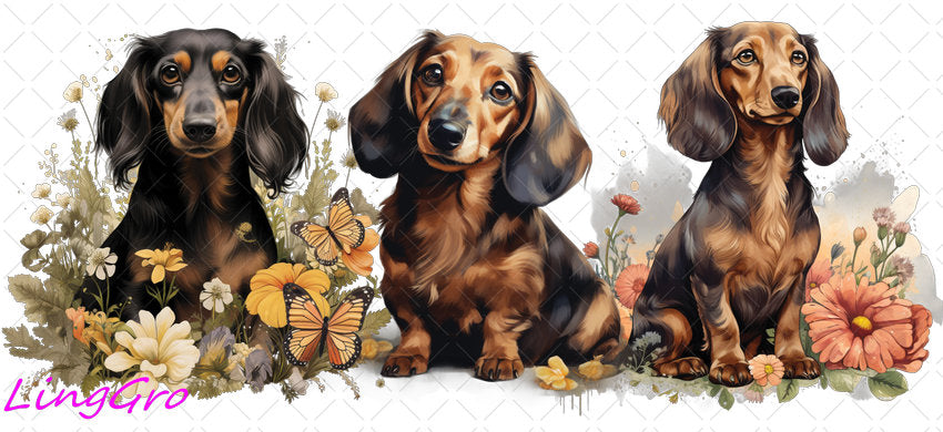 Animal 16oz UV DTF TRANSFER Libbey Glass Can Cup Wrap-KA-57