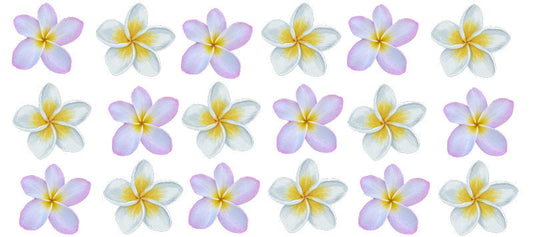 Tropical plumeria flower pattern with island summer aesthetic