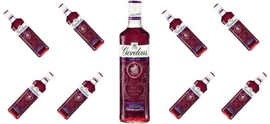 Berry Gin UV DTF Cup Wrap for 16oz Libbey Can KA-17698