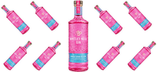 Pink Gin UV DTF Cup Wrap for 16oz Libbey Can KA-17706