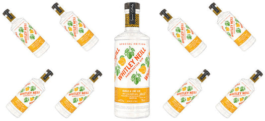 Orange Gin UV DTF Cup Wrap for 16oz Libbey Can KA-17714