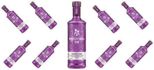 Purple Gin UV DTF Cup Wrap for 16oz Libbey Can KA-17717