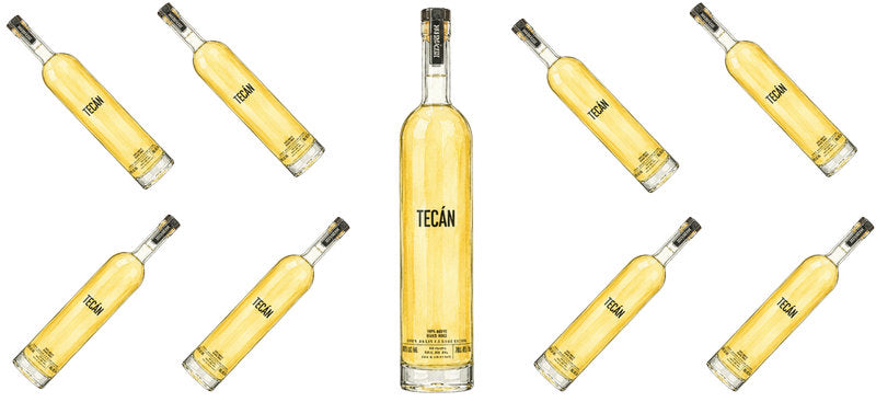 Gold Tequila UV DTF Cup Wrap for 16oz Libbey Can KA-17784