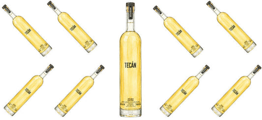 Gold Tequila UV DTF Cup Wrap for 16oz Libbey Can KA-17784