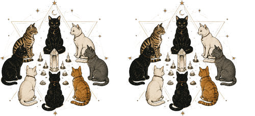 Witchy Black Cat Circle UV DTF Cup Wrap for 16oz Libbey Can KA-18743