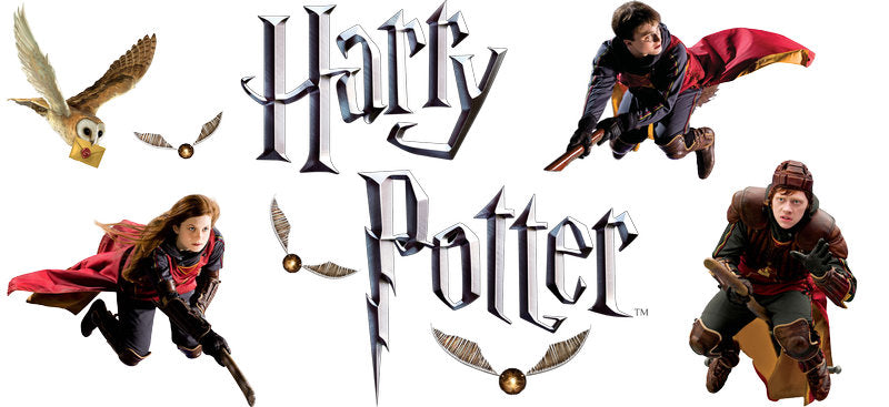 Harry Potter flying action UV DTF glass wrap decal KA-5989