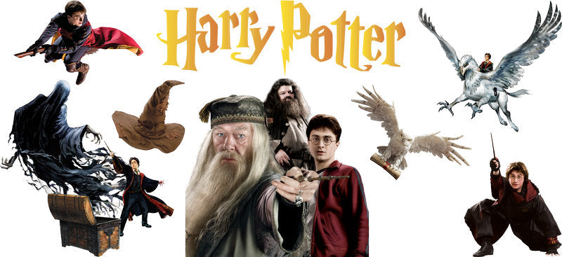 Harry Potter magic cast UV DTF glass cup wrap KA-5992