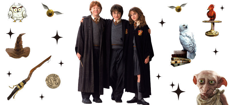 Harry Potter Main Characters UV DTF Cup Wrap for 16oz Libbey Glass KA-6642