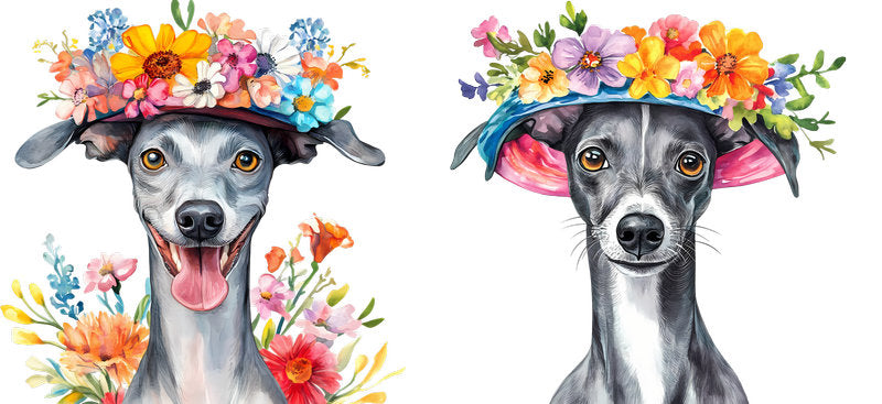Floral Greyhound Dog Botanical Garden Artwork UV DTF Cup Wrap for 16oz Libbey Glass KA-7643