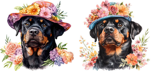 Floral Rottweiler Dog Wearing Wildflower Hat UV DTF Cup Wrap for 16oz Libbey Glass KA-7737