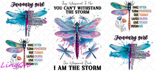 Dragonfly 16oz UV DTF TRANSFER Libbey Glass Can Cup Wrap-KA-2155