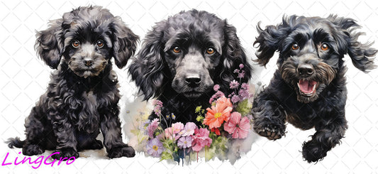 Animal 16oz UV DTF TRANSFER Libbey Glass Can Cup Wrap-KA-55